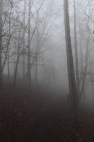 霧の中の登山道