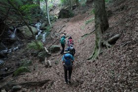 樹林帯の中を登山中