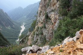 野生のサルの遊び場