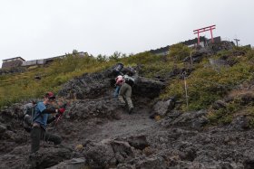 まだまだ元気いっぱい