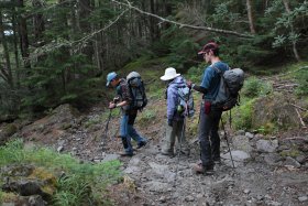 樹林帯の中を下山中