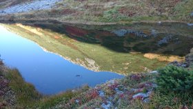 池に映る紅葉