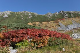 別山北側尾根