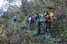 白出沢の樹林帯