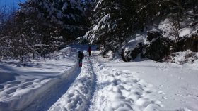 赤岳鉱泉へ向けて