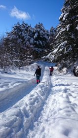 赤岳鉱泉へ向けて