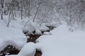 北沢