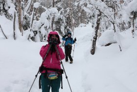美濃戸口へ向けて下山中