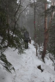 黒戸山の尾根道