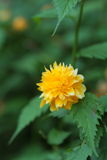IMG_6826.JPG