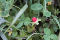 IMG_6869.JPG