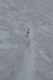 小さなクレバス