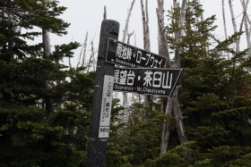 縞枯山