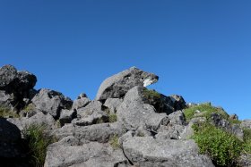 カピバラ岩？