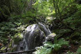 登山道脇の滝