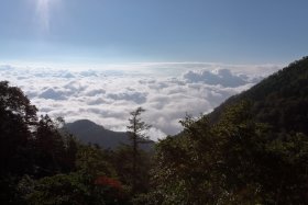 一面の雲海