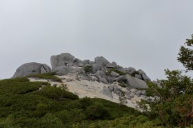 大きな岩の上で昼寝