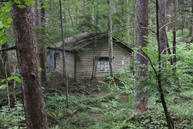 廃小屋