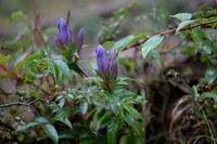 IMG_1679.JPG