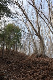 なだらかな斜面