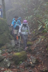 大沢を下山中