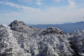 三ツ岳分岐