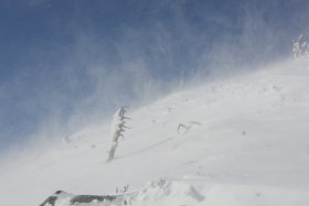 舞い上がる雪