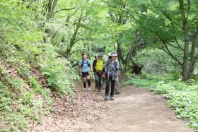 談笑しながらの登山