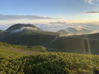 乗鞍スカイラインと雲海