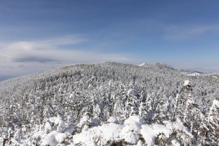 縞枯山