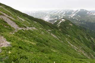 室堂乗越へ向けての下り