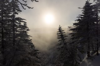太陽