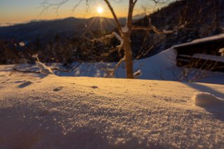 朝日に輝く雪