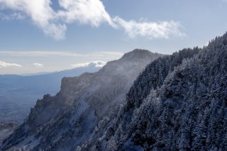 風に舞う雪