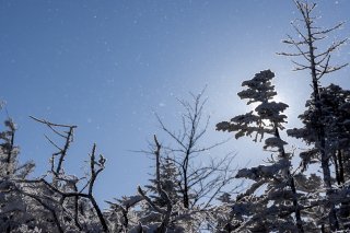 空に舞う粉雪