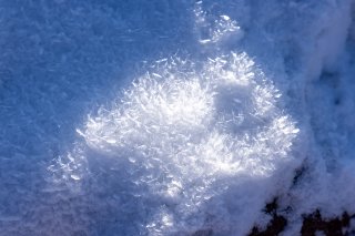 雪の結晶