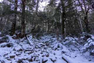 登山道の積雪