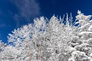 樹氷と青空