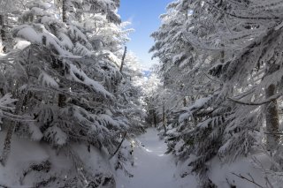 真っ白な登山道