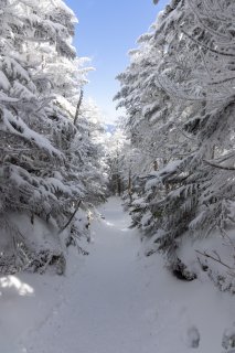 真っ白な登山道