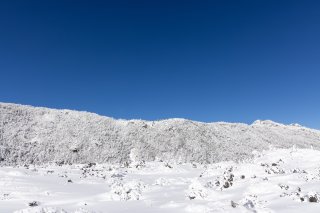 坪庭から