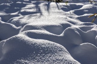 真っ白な雪