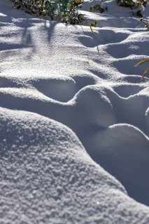 雪面