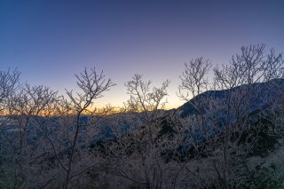 樹氷