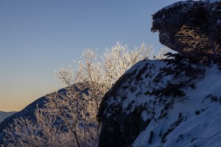 輝く樹氷