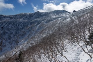 雷鳥を探して