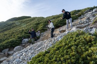 山頂への登山道